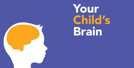 你的孩子的大脑