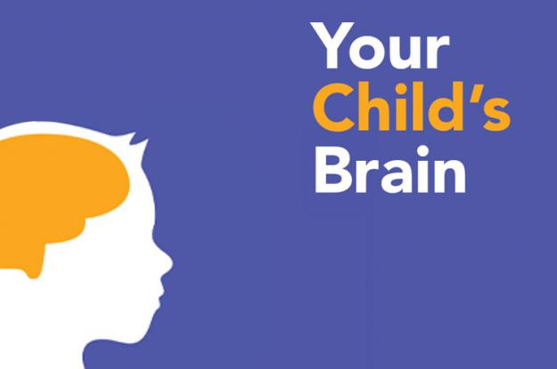 你的孩子大脑